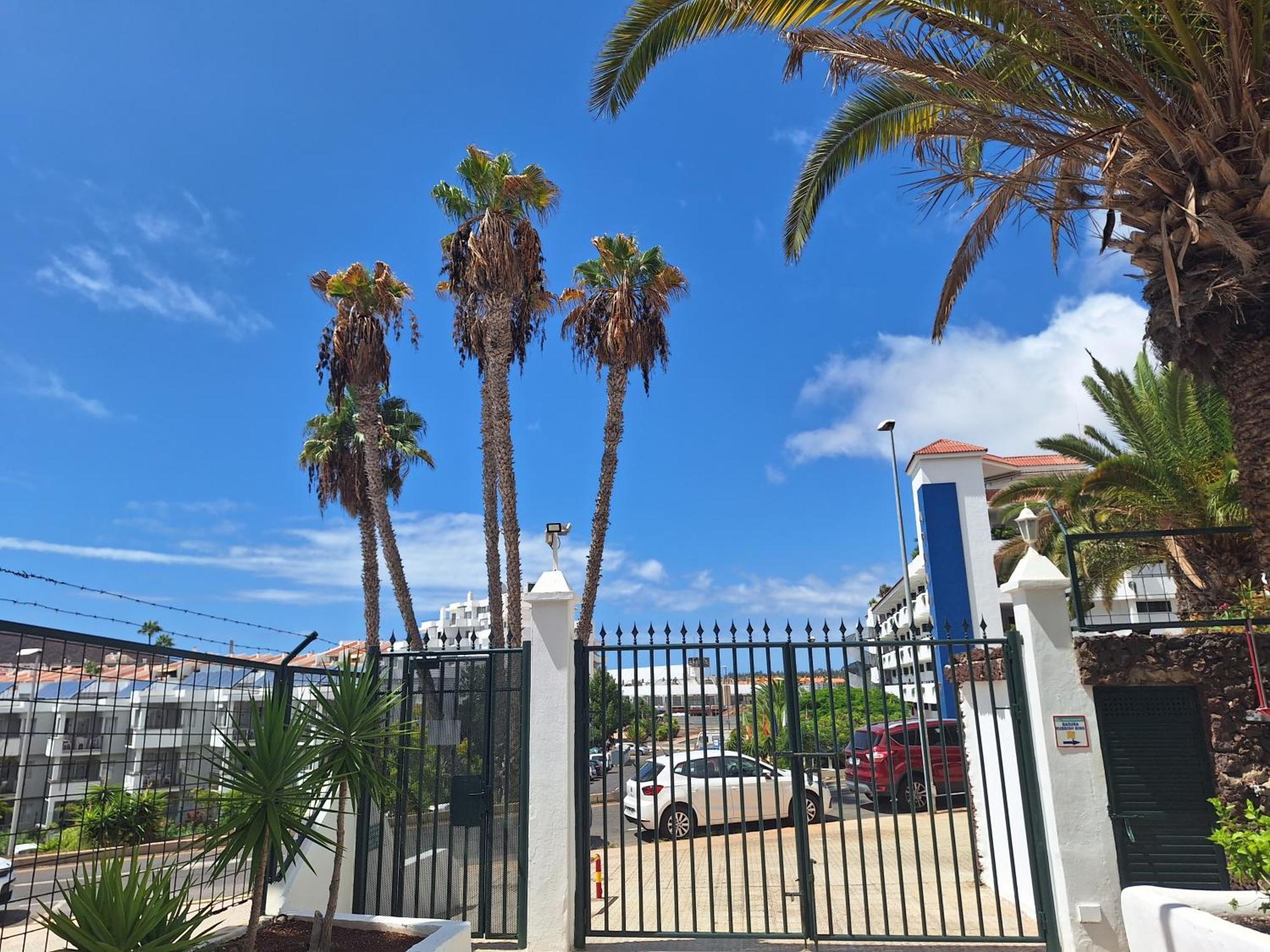 Parque Margarita, Terraza Vista Piscina Los Cristianos (Tenerife) Exterior photo
