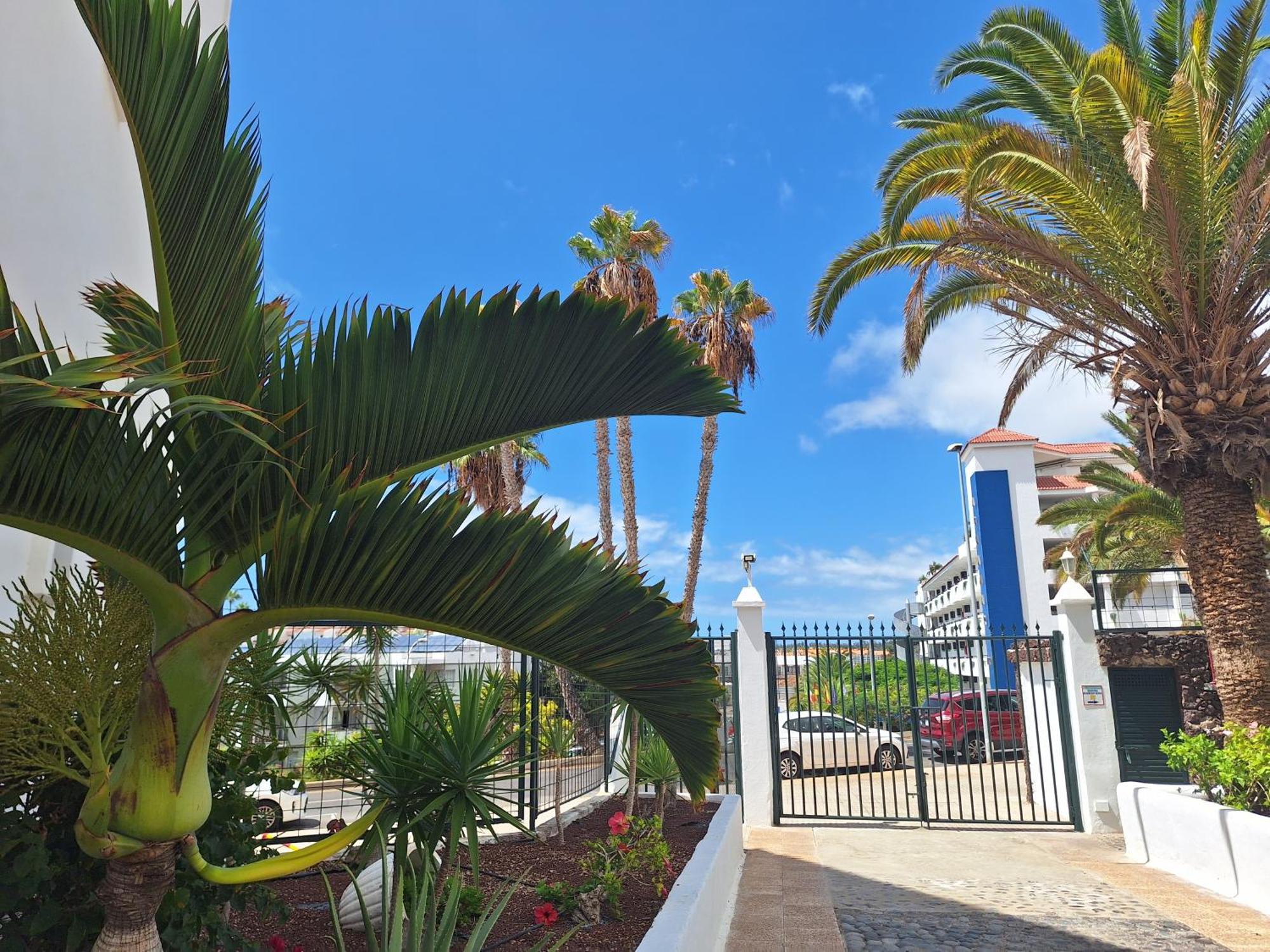 Parque Margarita, Terraza Vista Piscina Los Cristianos (Tenerife) Exterior photo